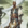 Teferi, Mage of Zhalfir