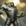 Karn Liberated
